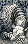 original picture, (c) Guy Dunsterville 1989