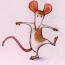 Rats