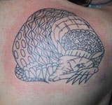 Shoulder showing black outlining
