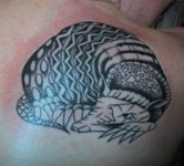 Shoulder showing black infilling