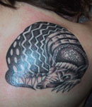 Tattoo completed, 29th Feb 2008