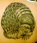 Tattoo, 26th April 2008