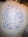 Transfer image on shoulder